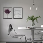 IKEA IKEA BILD poster, romantisk ros, 40x50 cm, poster, cm, bild 40x50 cm