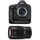 Canon EOS 1D X Mark II + EF 100mm f/2.8L Macro IS USM