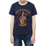 Harry Potter Boys Gryffindor Cotton T-Shirt - 5-6 Years