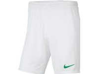Nike Y Park III Shorts för pojkar BV6865 102