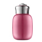 280ML/9.85Oz Small Mini Vacuum Insulated Water Bottle Portable Leakproof Travel Mug Stainless Steel Cold and Hot Thermal Flask for Kids Children Women School Office Coffee Milk Tea (Rose)