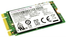 Lenovo SSD M.2 2242 256GB FRU 00UP731