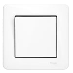 SCHNEIDER ELECTRIC Strömbrytare 1-pol/trapp Schneider Exxact