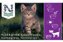 Kattgräs Innerkornshavre i Fröpåse