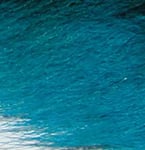 Bucktail piece - Fluo blue