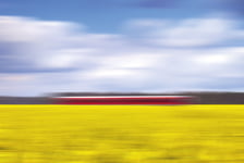 Canola and The Red Train Poster 30x40 cm