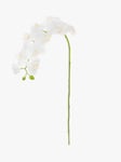 Floralsilk Artificial Phalaenopsis Orchid, White