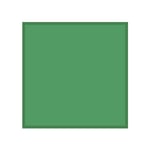 Rosco Butterfly 12x12 Chroma Key Green