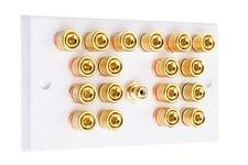 9.1 Surround Sound Speaker Wall Plate with Gold Binding Posts + 1 RCA White