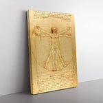 Big Box Art Vitruvian Man Vol.1 by Leonardo Da Vinci Canvas Wall Art Print Ready to Hang Picture, 76 x 50 cm (30 x 20 Inch), Cream, Cream, Yellow