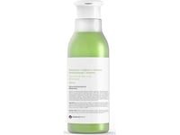 Botanicapharma_Tea Tree &Amp  Aloe Vera Shampoo With Tea Tree Oil And Aloe Vera 250Ml