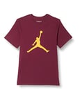 NIKE Men's J Jumpman T Shirt, Cherrywood Red/Taxi, XXL UK