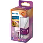 LED E27 Normal 60W Frost Dimbar WarmGl 806lm
