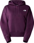 The North Face The North Face Women's Outdoor Graphic Hoodie Black Currant Purple S, Black Currant Purple