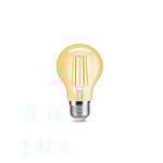 Gledopto Smart Lampa - Filament - Zigbee - A60
