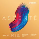 OUTLET | D'Addario Ascenté Violin String Set, 3/4 Scale, Medium Tension