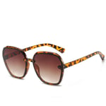 CJJCJJ Retro Irregular Womens Sun Glasses Double Color Lens Fashion Sunglasses UV400 Polarized