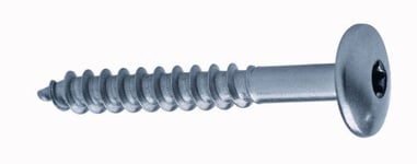 Protools Fasadskruv, trä rostfri A4 4,8x38 250 st