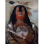 Catlin Buffalo Bulls Back Fat Blood Ureinwohner Amerikanisches Portrait, ungerahmt Wandkunstdruck, Poster Heimdekoration Premium