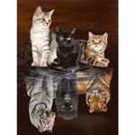 Diamond Painting 5d Painting Pictures Diy Diamond Painting Kit Diy Diamond Full Digital Painting For Adults And Children Suitable For Living Room, Bed