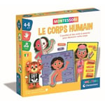 CLEMENTONI Montessori - Clementoni Människokroppen Pedagogiskt Spel För Att Lära Dig Hur Kroppen Är Gjord Inifrån Och Ut D