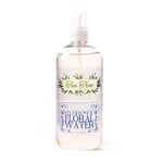 Mystic Moments | Tea Tree Natural Hydrosol Floral Water 500ml | Perfect for Skin Face Body & Homemade Beauty Products Vegan GMO Free