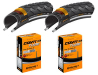 2 Dekk + 2 Slanger Continental Contact Plus 700x35C Refleks Racer Ventil