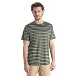 Icebreaker Wave Stripe T-shirt Med Korta ärmar Grönt M Man