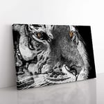 Big Box Art Eyes of The Tiger in Abstract Canvas Wall Art Print Ready to Hang Picture, 76 x 50 cm (30 x 20 Inch), Grey, Black
