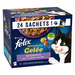 Latz "Sensations" Pouches 24 x 85 g - Sekalainen lajike hyytelössä