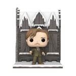 Funko POP! Deluxe: HP Hogsmeade - the Shrieking Shack Shack With Lup (US IMPORT)