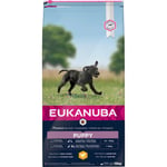 Hundfoder Eukanuba Puppy L Chicken 15kg