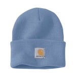 Carhartt WATCH HAT - SEA PINE / OS