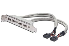 Digitus Câble Prise A mâle vers 2 x 10 Broches IDC USB 0,25 m