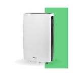 Swan 20L/Day Dehumidifier with 24 Hour Timer, Large LED Display & Soft Touch