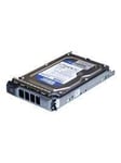 Dell - 1TB - Hårddisk - DELL-1000SATA/7-S11 - SATA-150