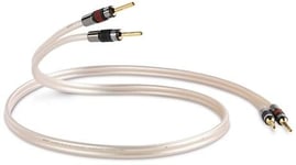 QED Reference X-Tube XT40 2Banana - 2Banana (par) - 3 m