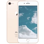 Kunnostettu Apple iPhone 8 128GB - A, Uusi kunto - Kulta