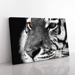 Big Box Art Eyes of The Tiger Painting Canvas Wall Art Print Ready to Hang Picture, 76 x 50 cm (30 x 20 Inch), Grey, Black