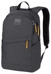 Jack Wolfskin Backpack Unisex PERFECT DAY (1 included), Asphalt, One Size
