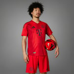 adidas Maillot Domicile FC Bayern 24/25 Authentique Hommes Adult