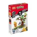 Mega Construx Pokemon Torchic vs Treecko
