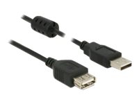 Delock - USB-förlängningskabel - USB (hane) till USB (hona) - USB 2.0 - 2 m - svart