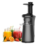 Slow Masticating Juicer Extractor Home Vegetables Fruit Cold Press Kitchen