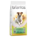 10 % rabatt! 12/14 kg Briantos torrfoder - Mini Adult Lamm & ris (14 kg)