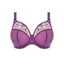Elomi Womens GBElomi +size niet-voorgevormde beugelbh Charley paars - Purple Polyamide - Size 40GG