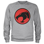 Thundercats Logo Sweatshirt, Sweatshirt