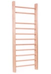 Iron Fitness Ribbstol, 70cm bred