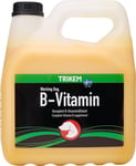 Trikem TRIKEM - B-Vitamin 3L (721.2023)