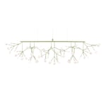 Moooi - Heracleum III, Linear Green - Takkronor - Bertjan Pot - Grön